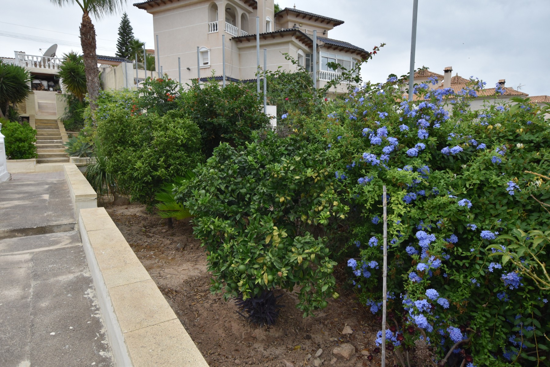 Pool area in villa for sale in Algorfa