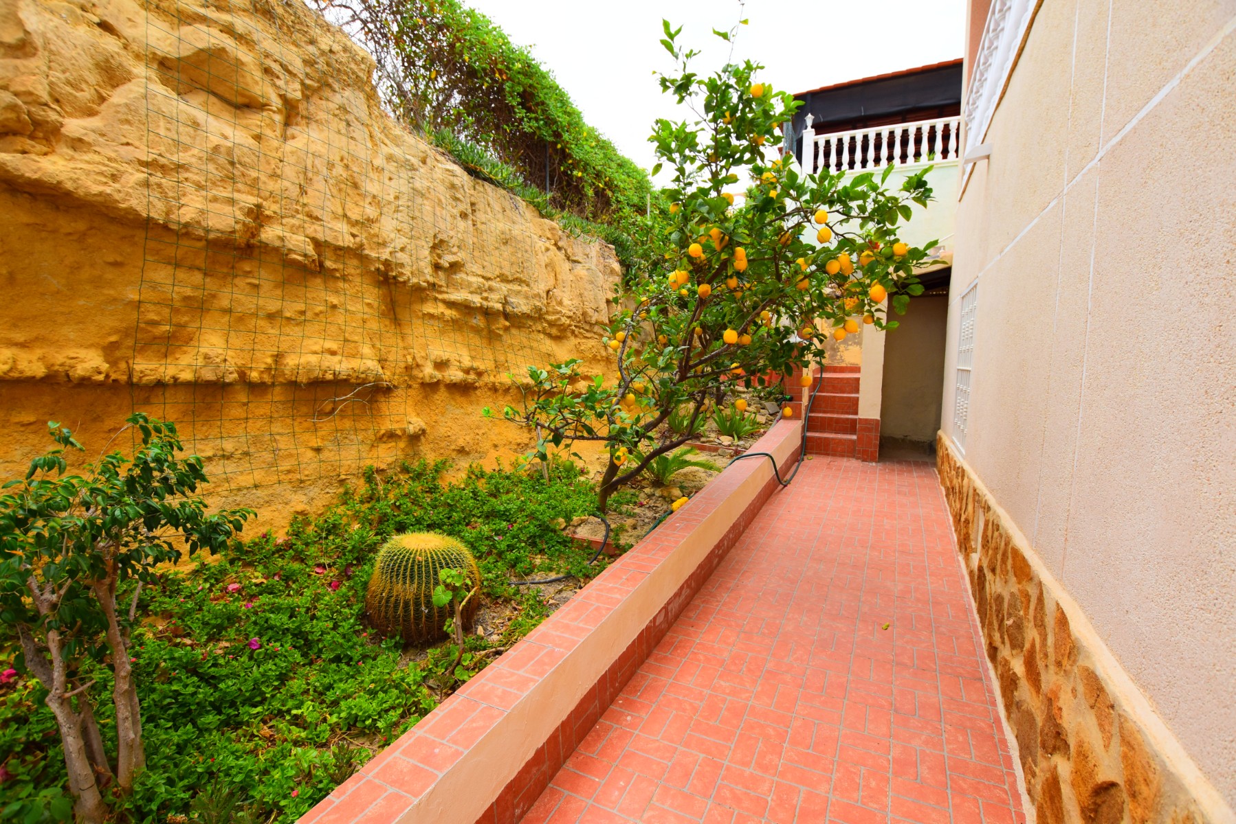 Pool area in villa for sale in Algorfa