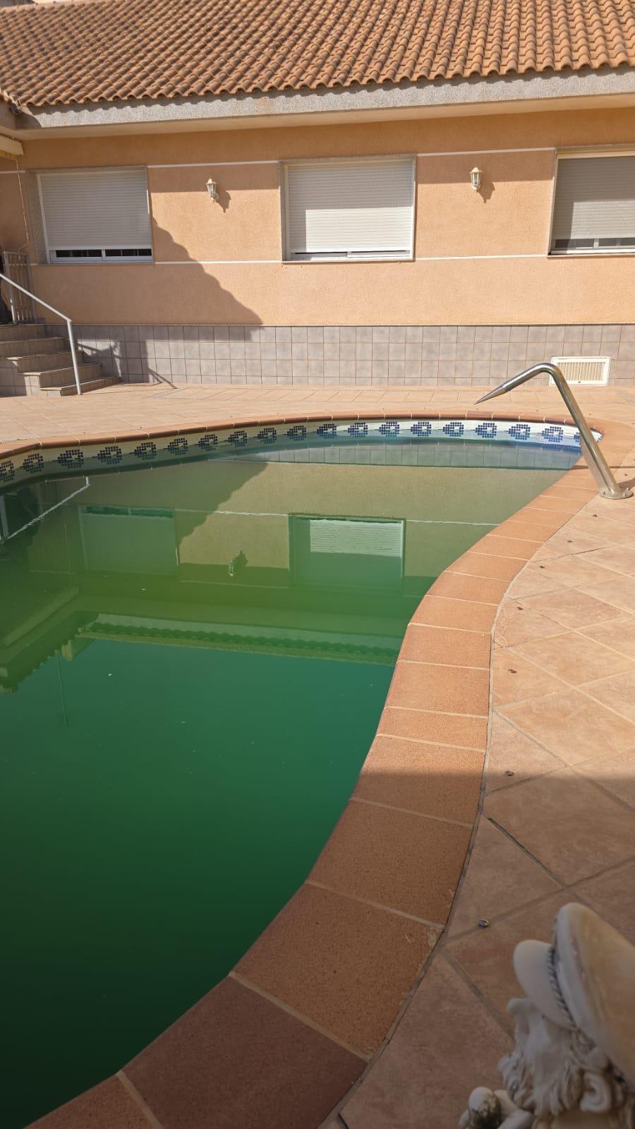 Pool area in villa for sale in Pilar de La Horadada