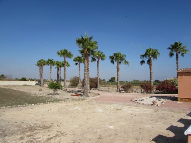 Pool area in finca for sale in Dolores