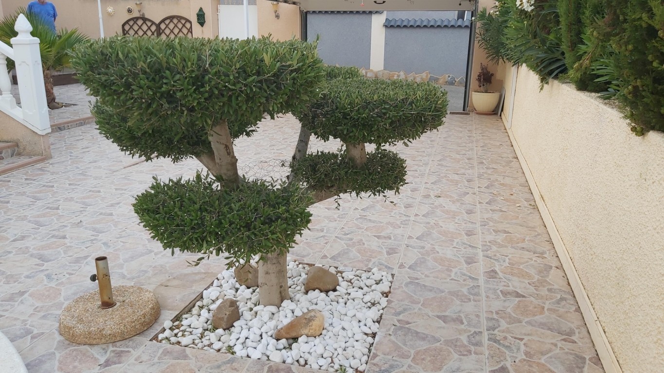 Kitchen in villa for sale in Benimar