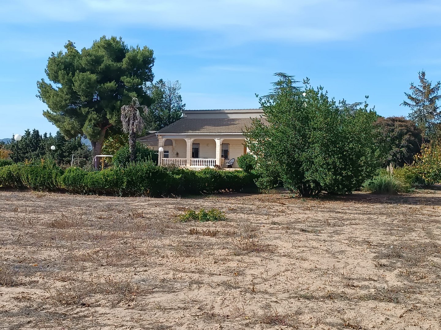 Pool area in villa for sale in Yecla