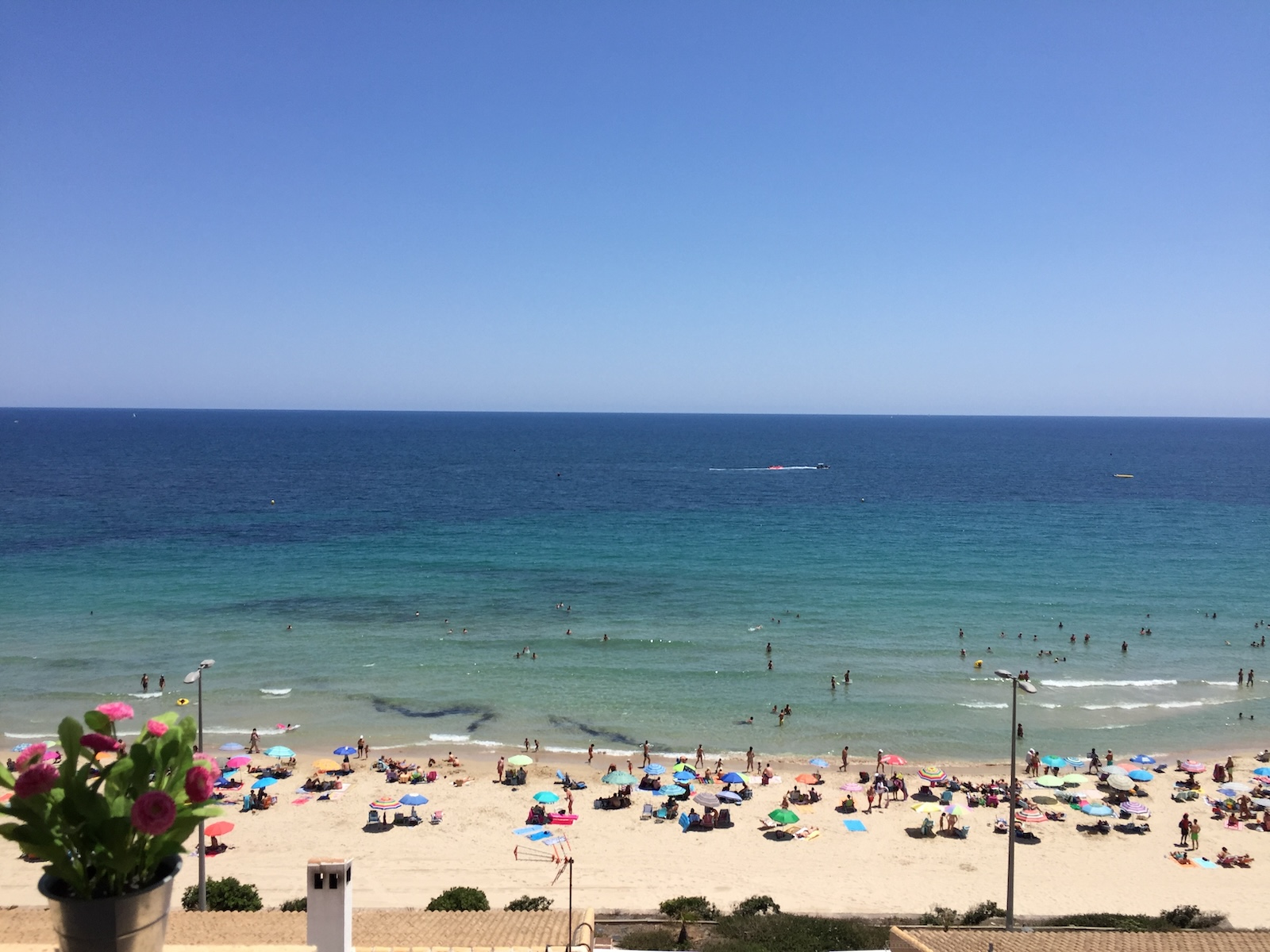 Garden in apartment for sale in Mil Palmeras