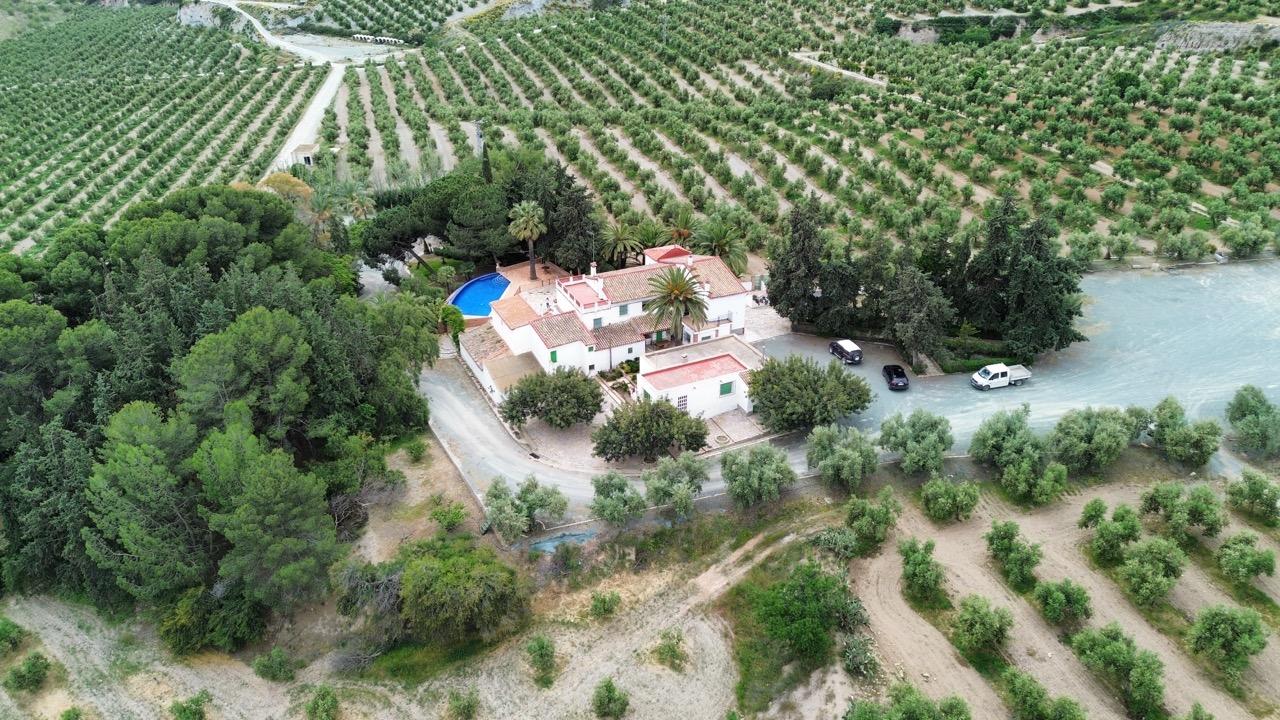 Garden in land for sale in Puerto Lumbreras