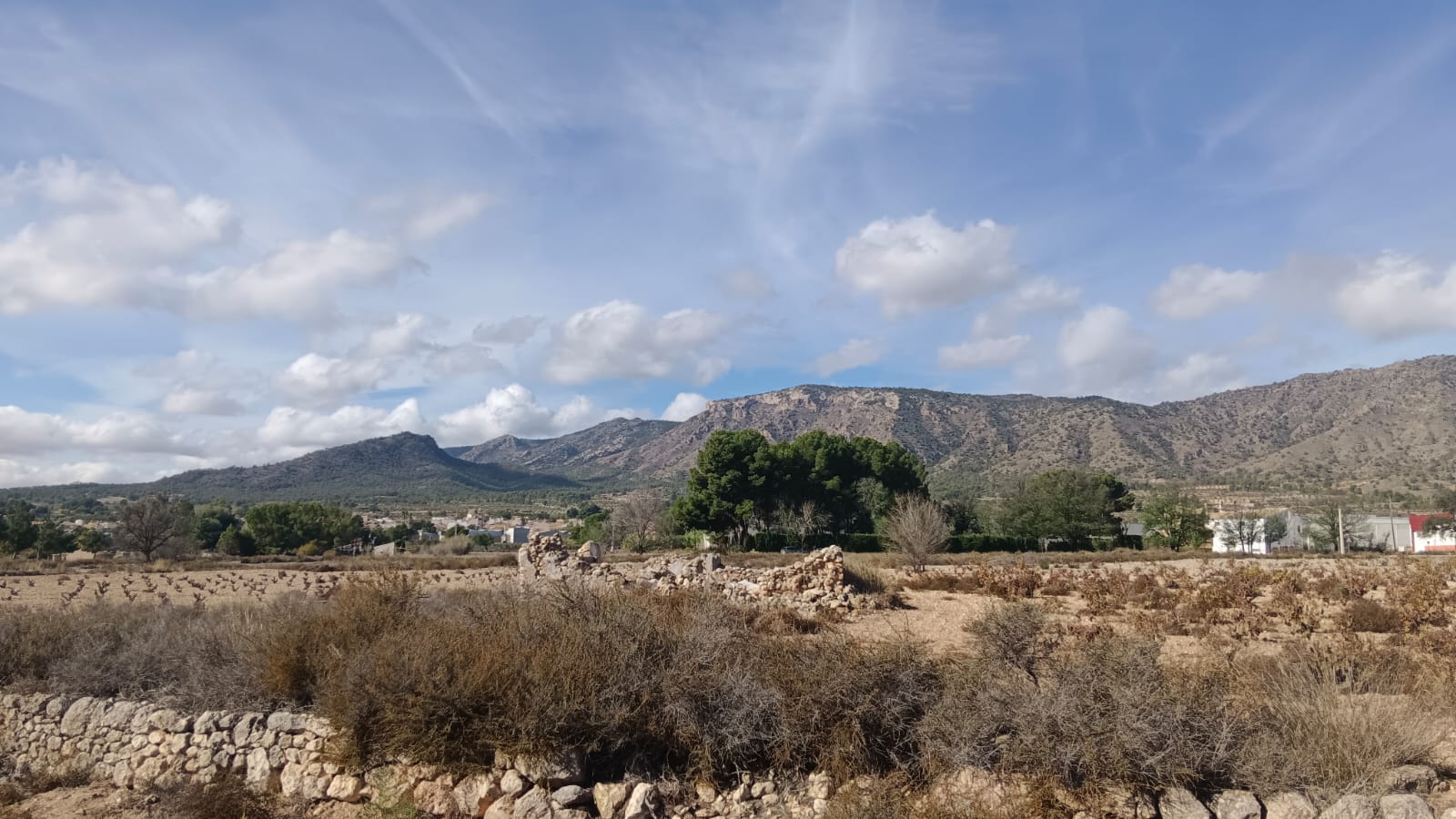 Terrace in land for sale in Salinas