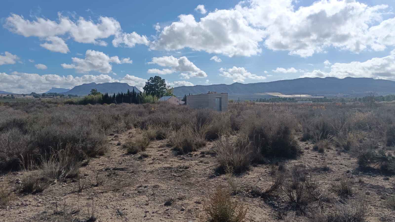 Pool area in land for sale in Salinas
