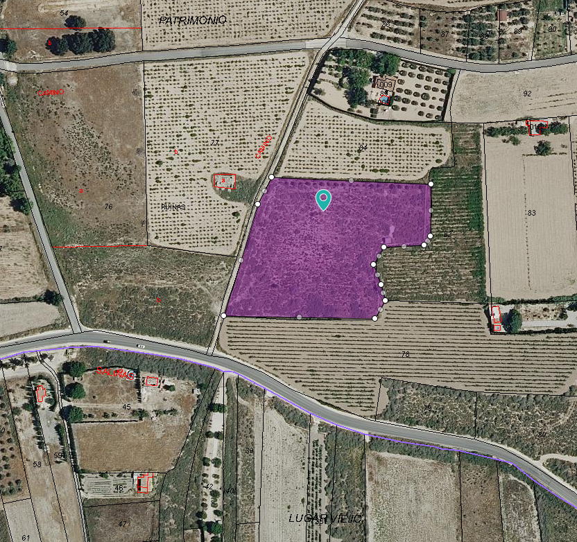 Garden in land for sale in Salinas
