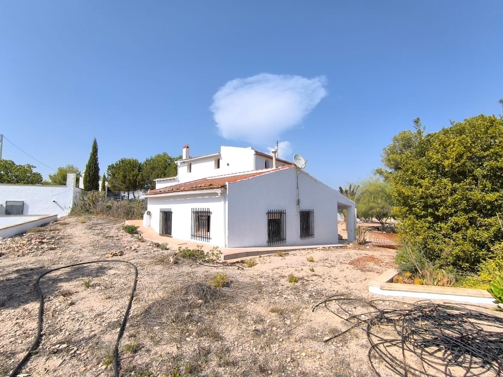 Garden in villa for sale in Novelda