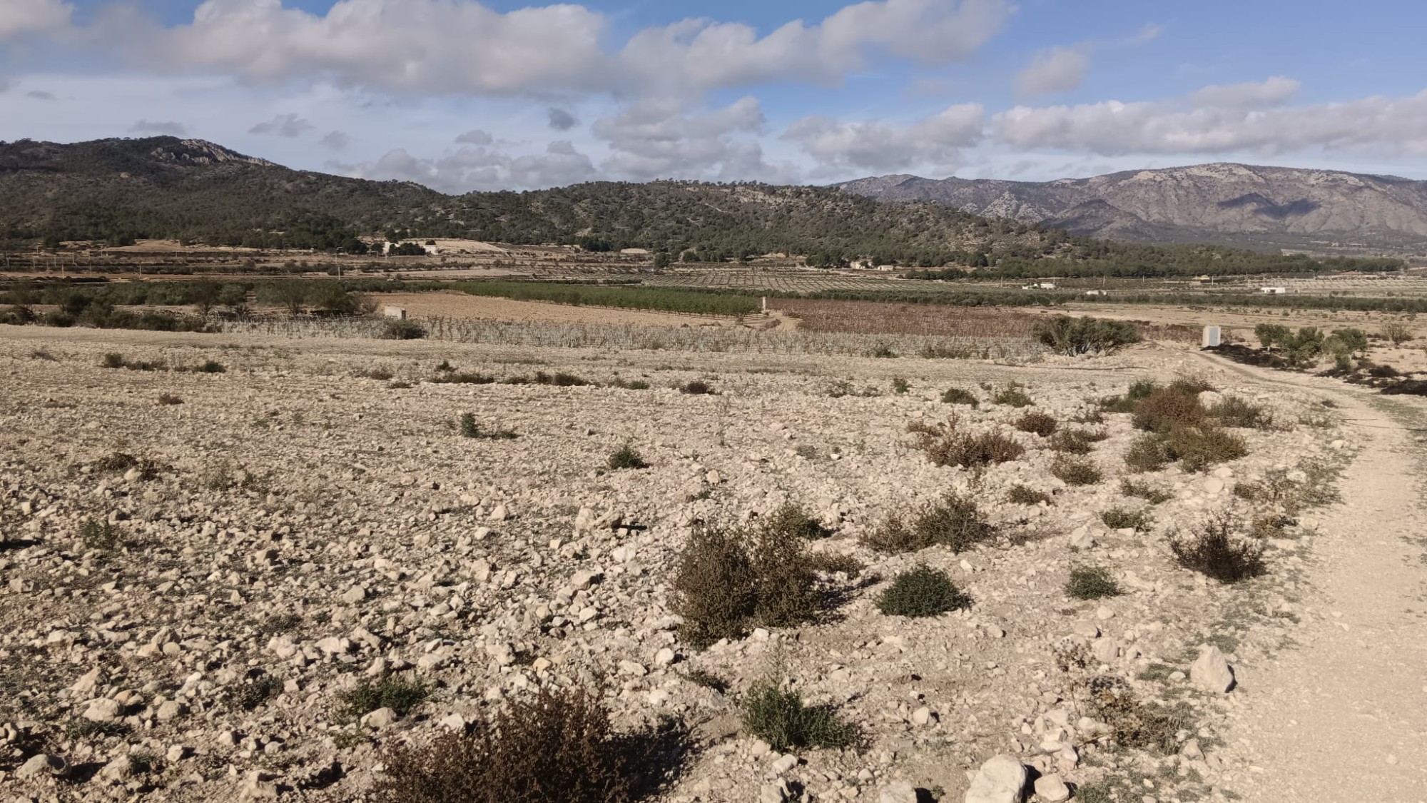 Terrace in land for sale in Salinas