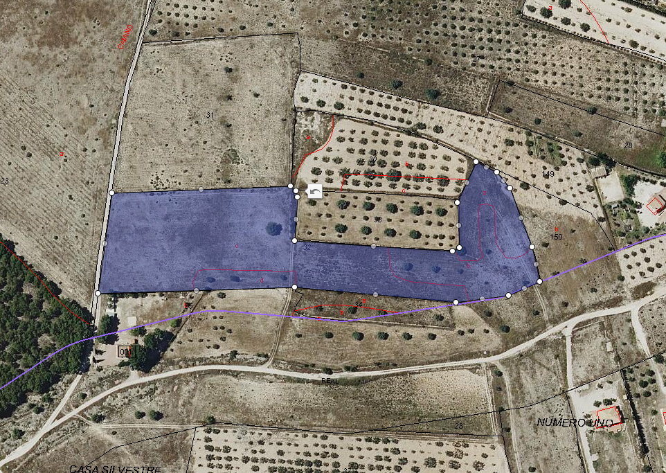 Terrace in land for sale in Salinas