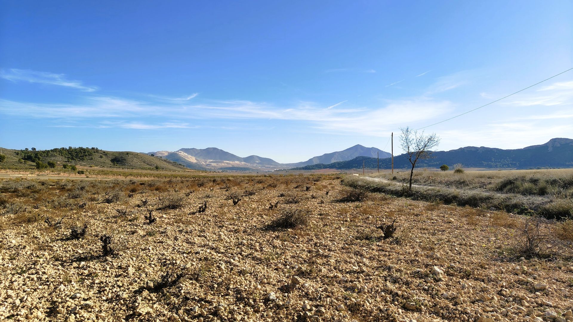 Garden in land for sale in Canada del Trigo