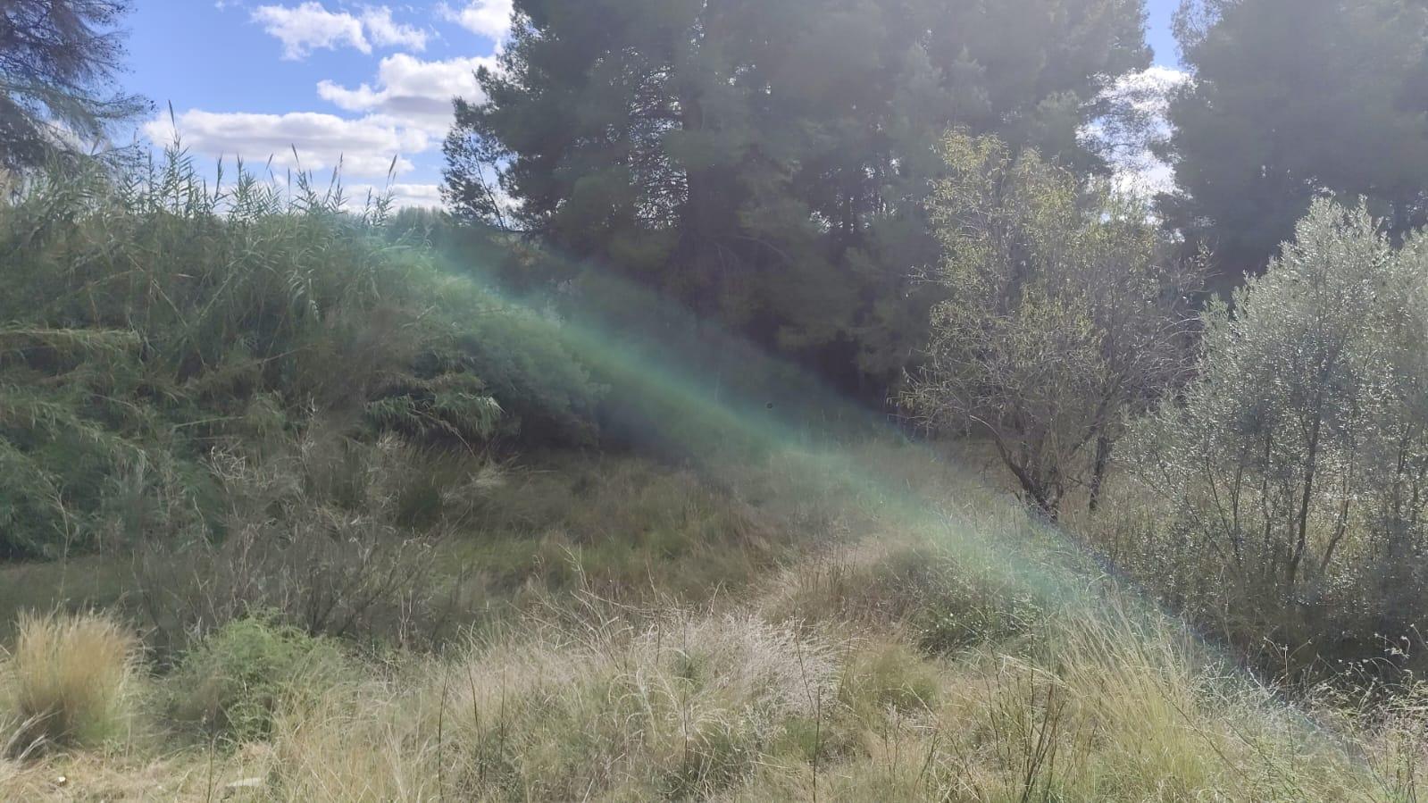 Garden in land for sale in Moratalla
