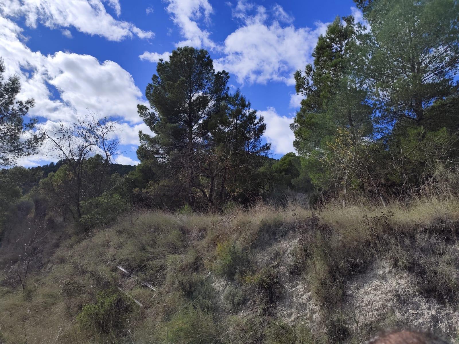 Kitchen in land for sale in Moratalla