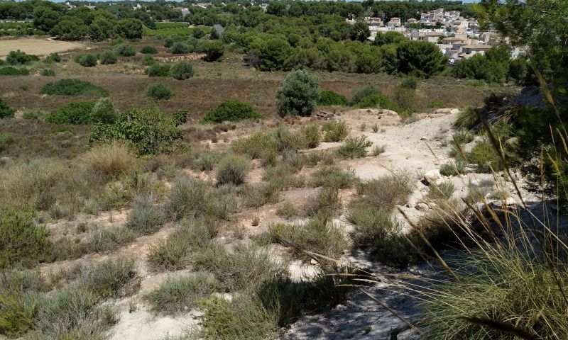 Terrace in land for sale in Pinar de Campoverde
