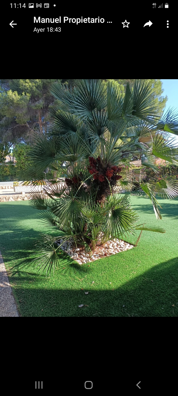 Dining area in villa for sale in Campoamor