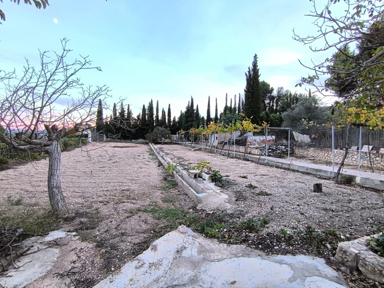 Garden in villa for sale in Yecla