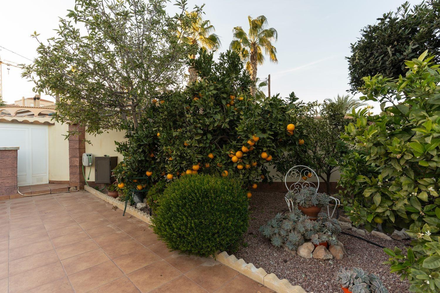 Exterior view in villa for sale in Torrevieja