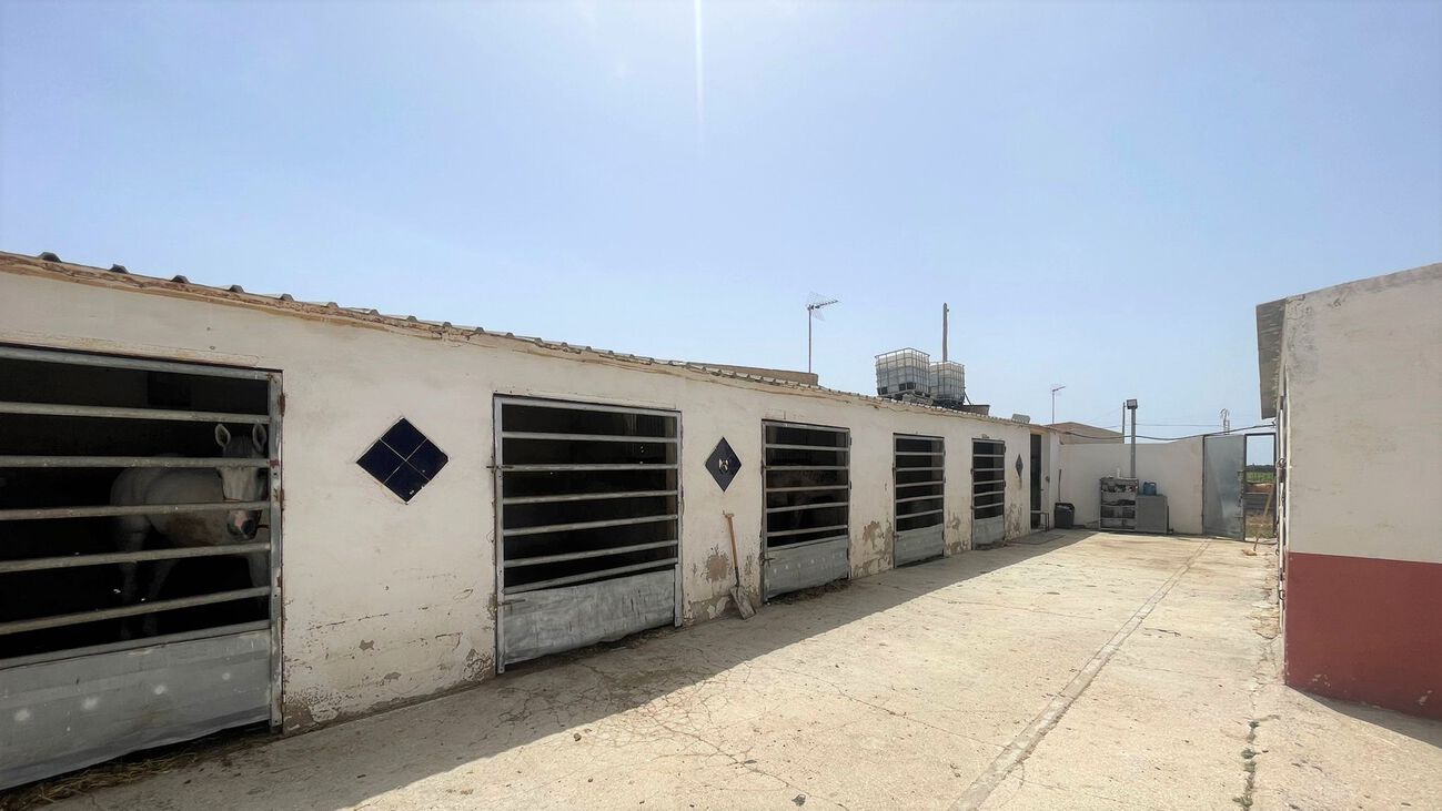 Exterior view in commercial for sale in Balsicas