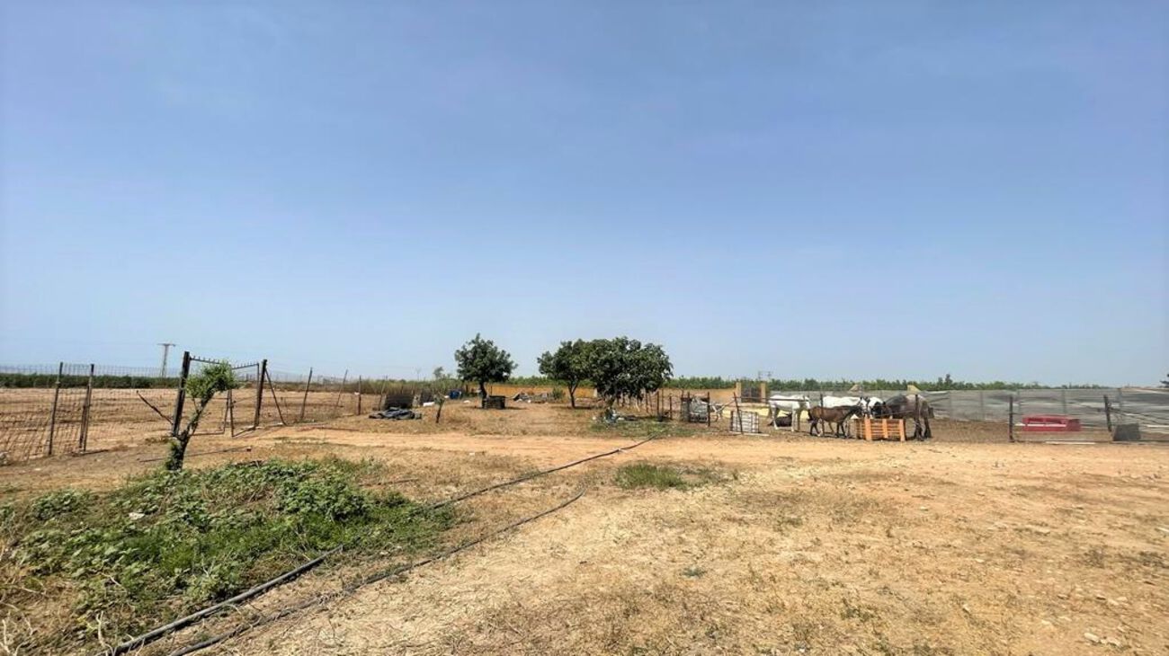 Terrace in commercial for sale in Balsicas