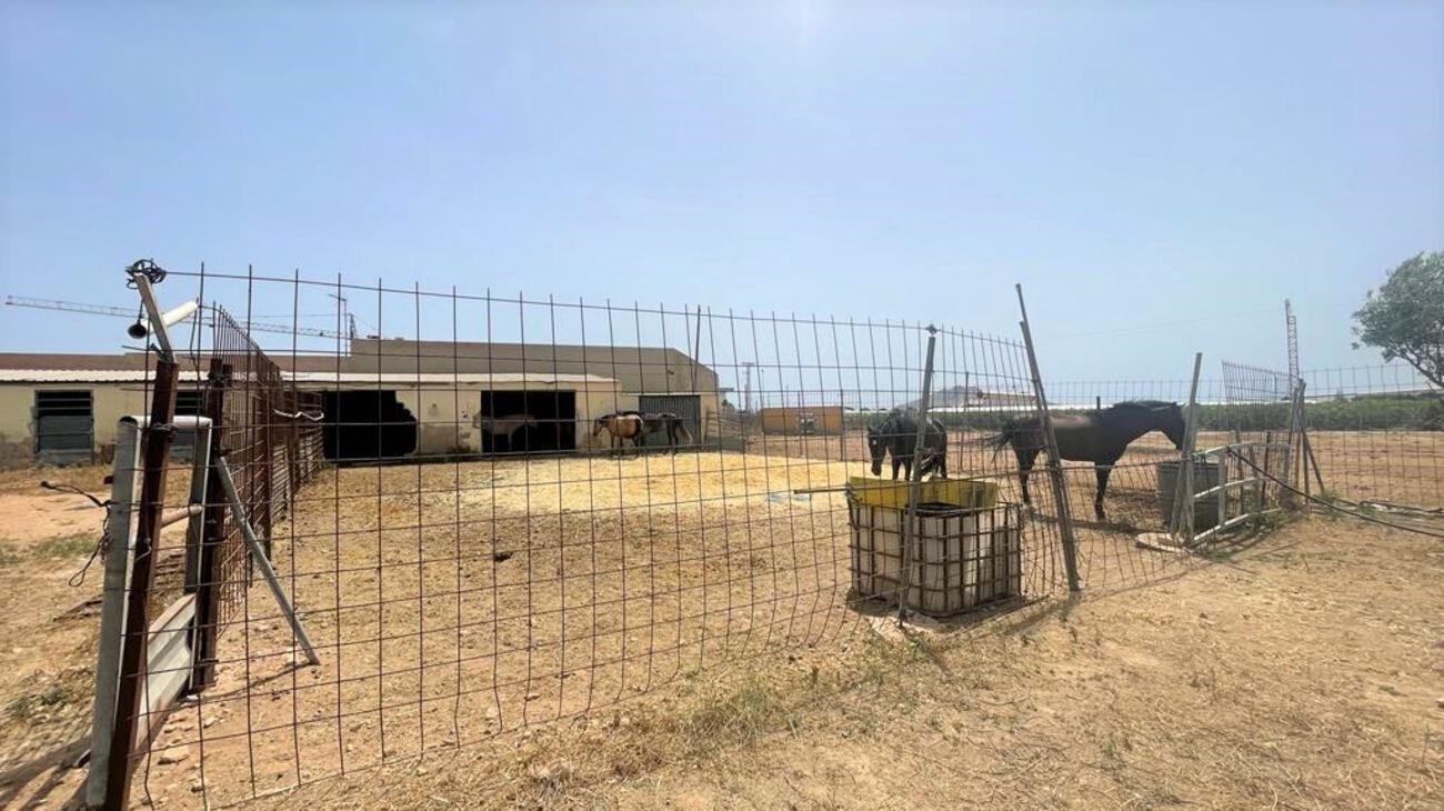 Pool area in commercial for sale in Balsicas