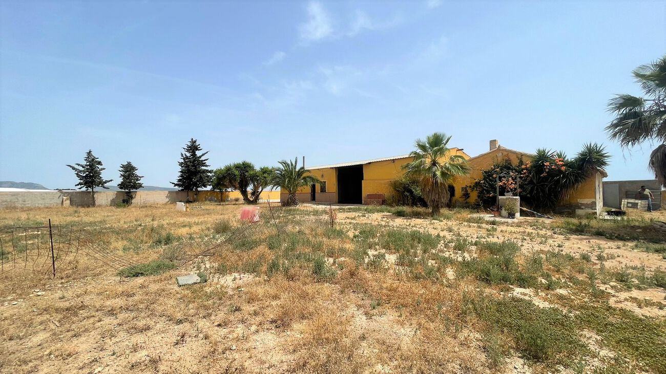 Pool area in commercial for sale in Balsicas