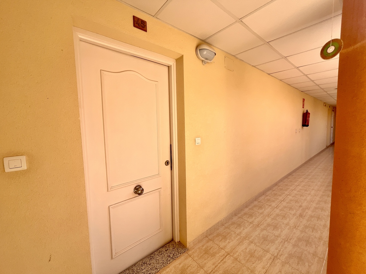 Garden in apartment for sale in San Miguel de Salinas