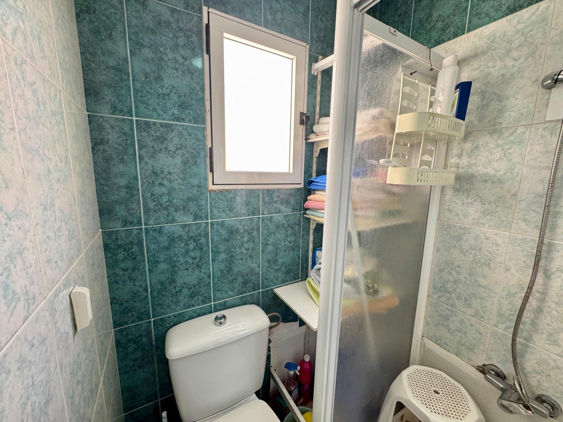 Garden in penthouse for sale in Torrevieja
