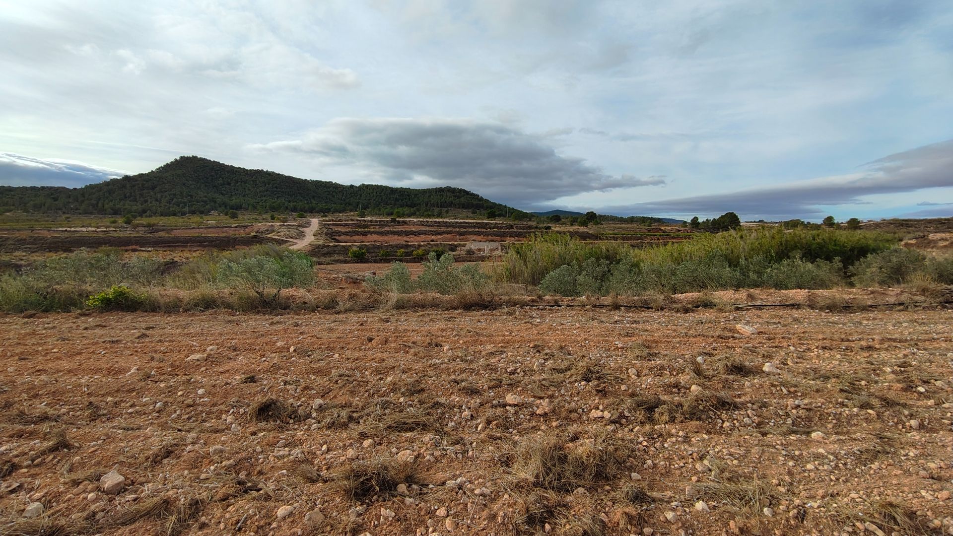 Building plot with irrigation water of 22,293 m² in Monóvar (Alicante)Large building plot located in