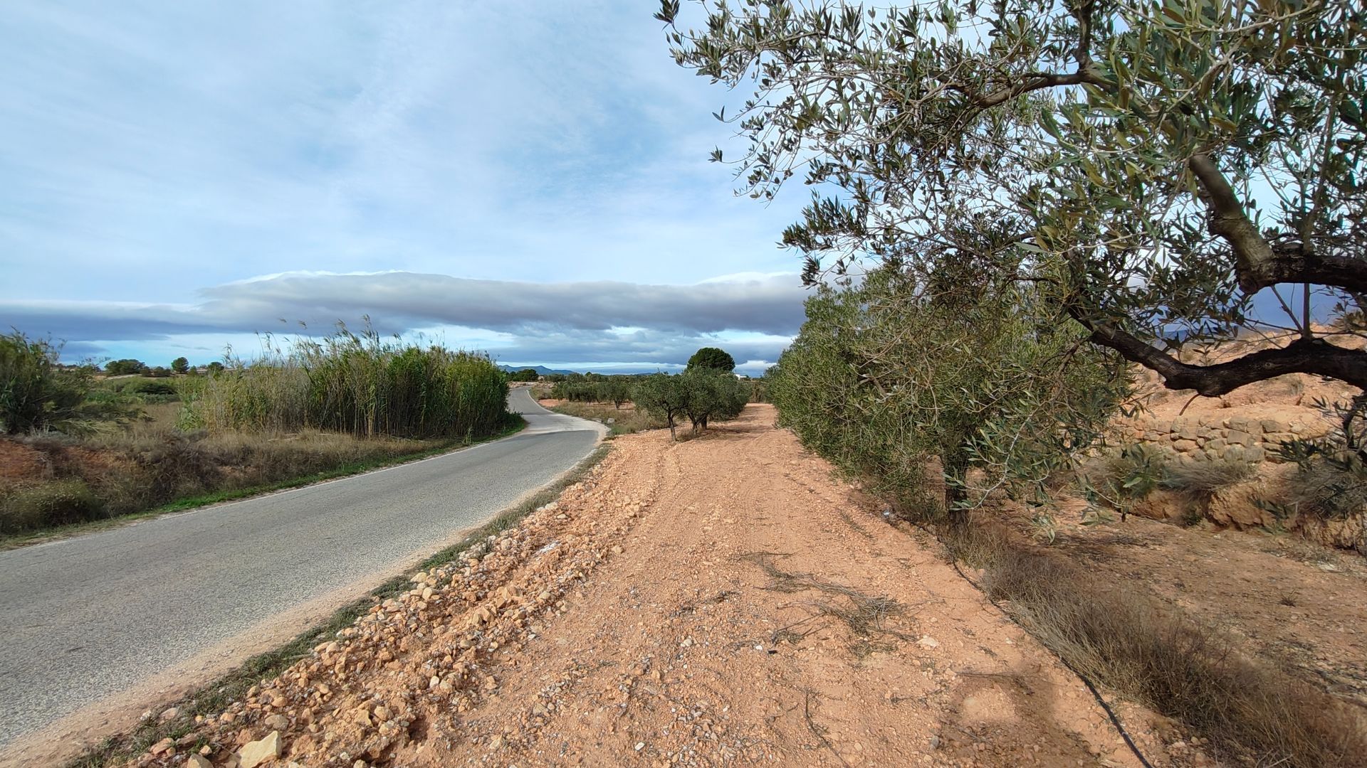 Building plot with irrigation water of 22,293 m² in Monóvar (Alicante)Large building plot located in