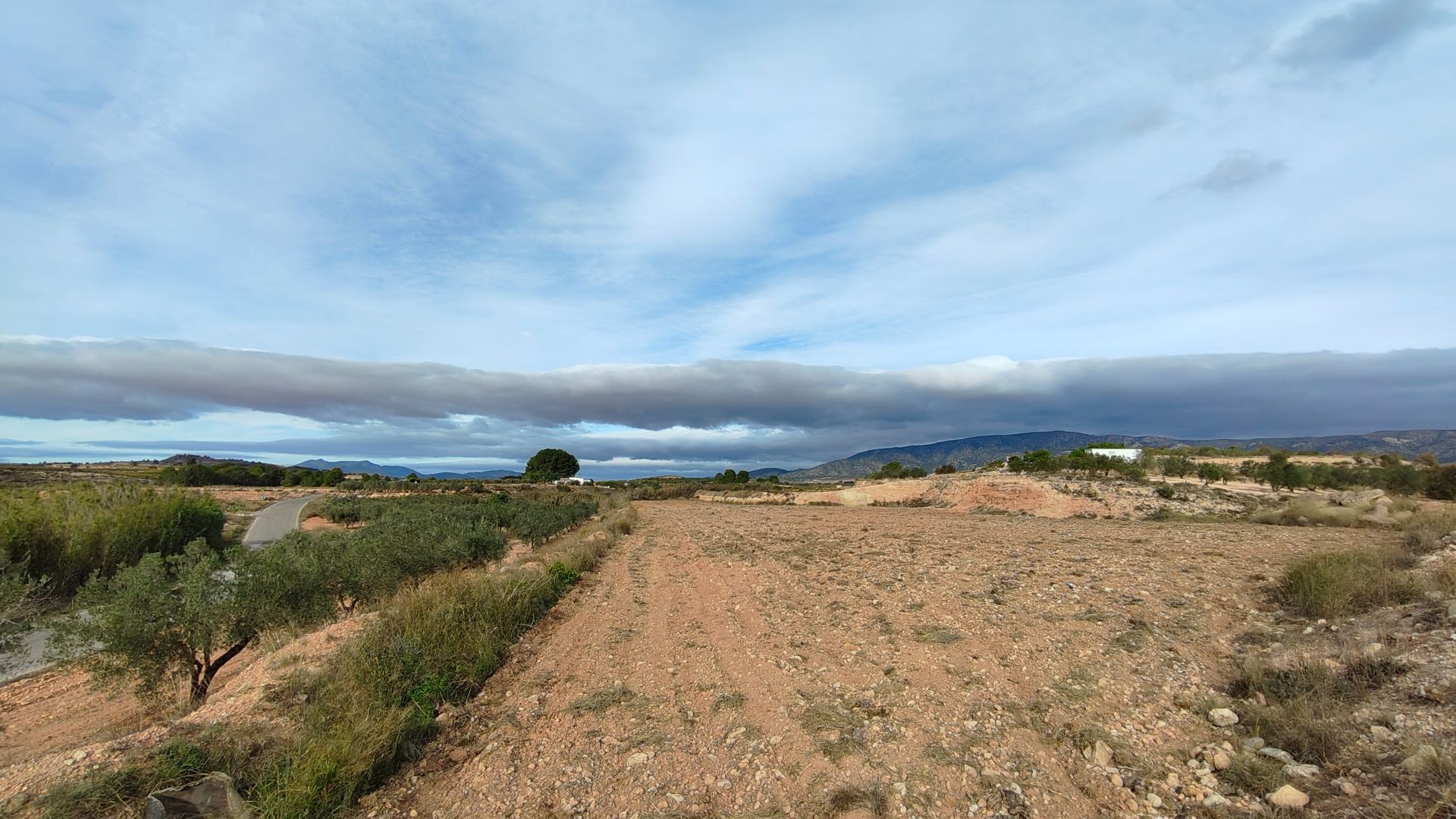 Building plot with irrigation water of 22,293 m² in Monóvar (Alicante)Large building plot located in
