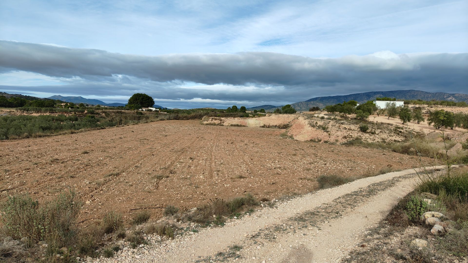 Building plot with irrigation water of 22,293 m² in Monóvar (Alicante)Large building plot located in