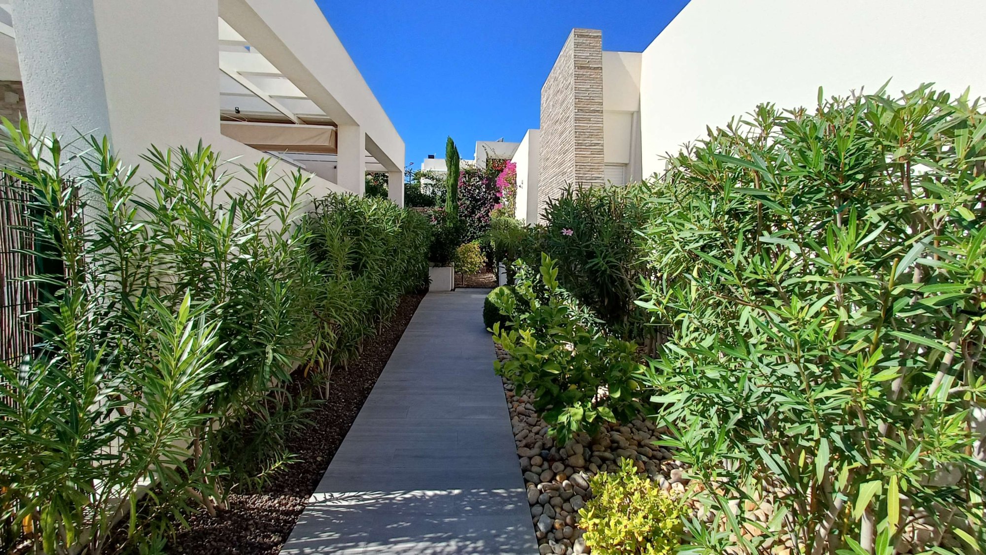 Exterior view in villa for sale in Algorfa