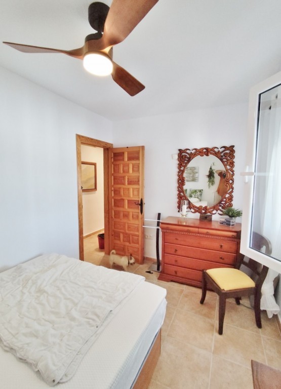 Garden in villa for sale in San Miguel de Salinas