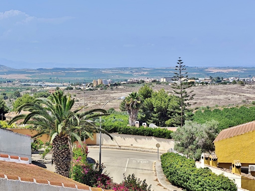 Pool area in villa for sale in San Miguel de Salinas