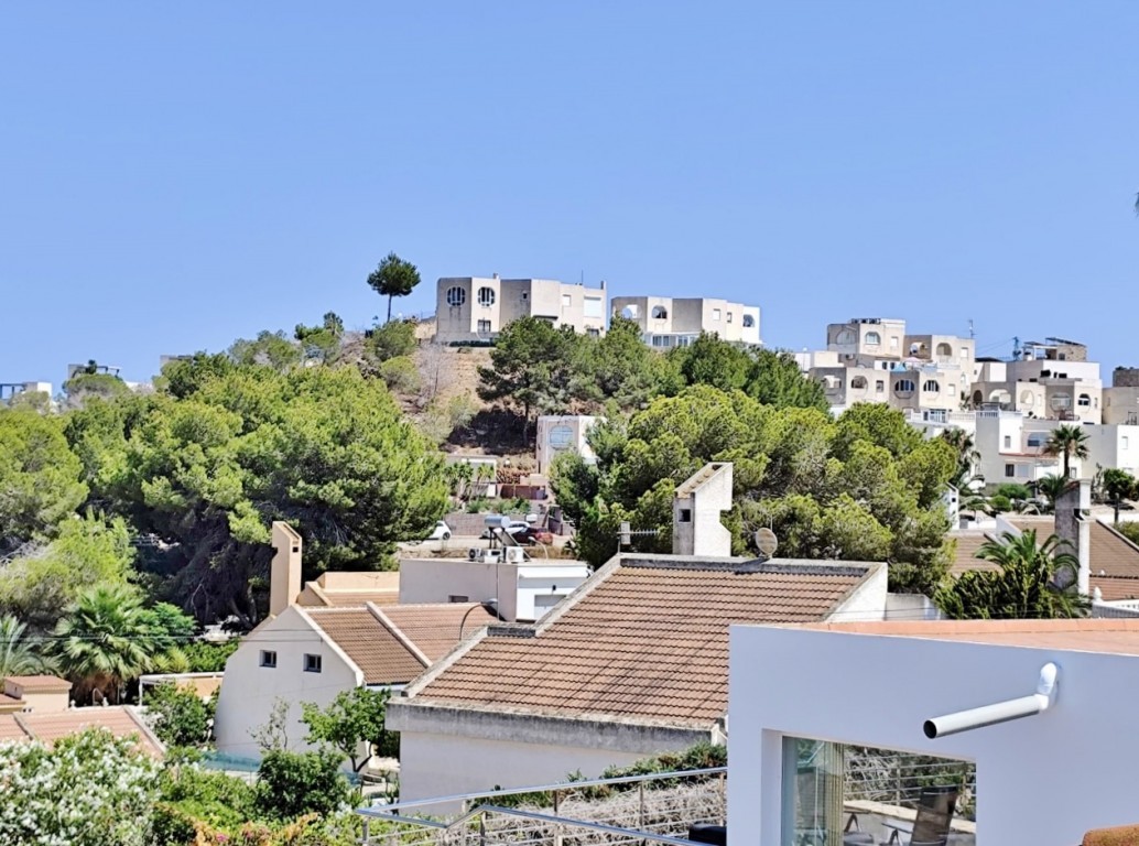 Garden in villa for sale in San Miguel de Salinas