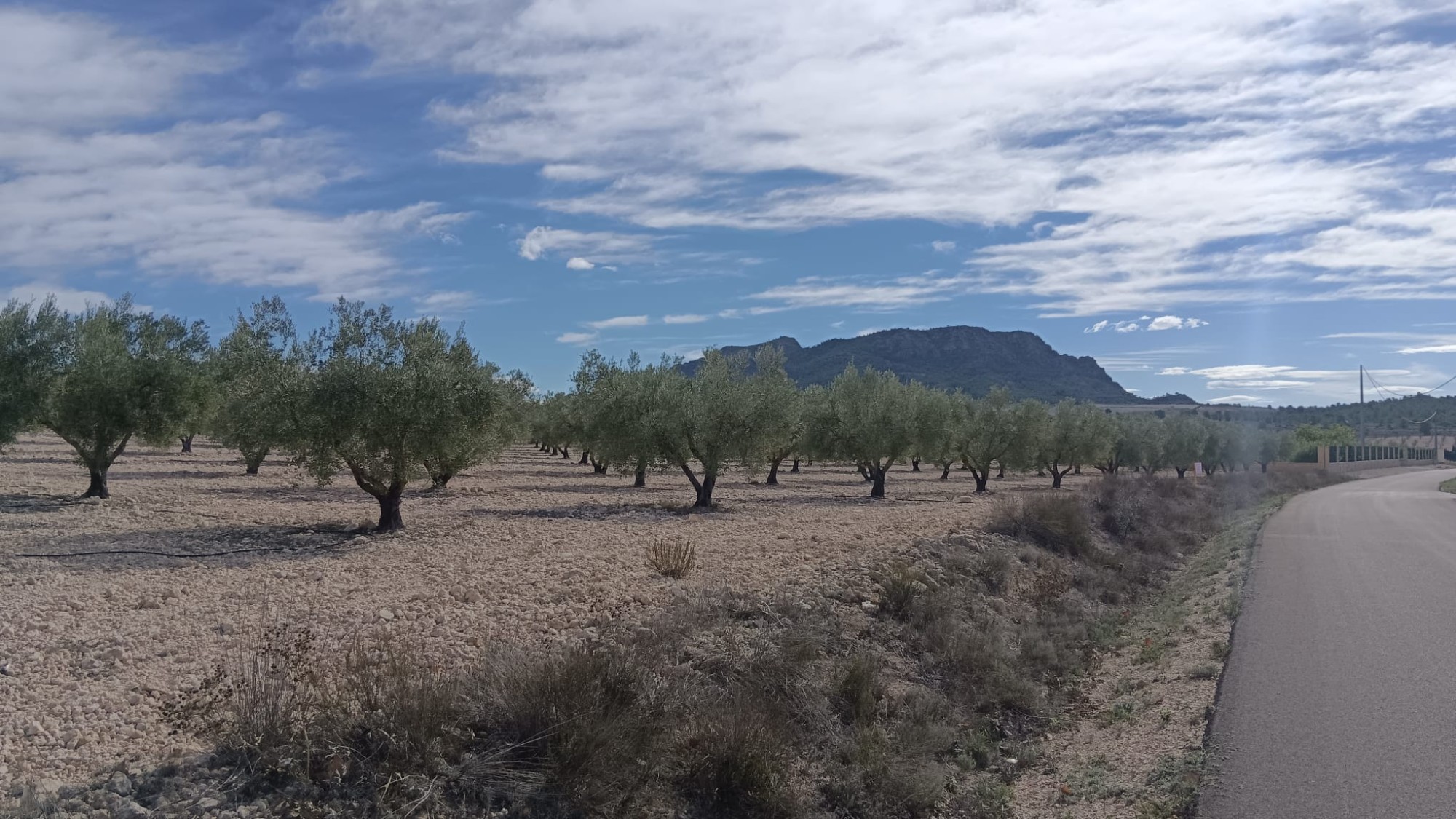 Exterior view in land for sale in Salinas