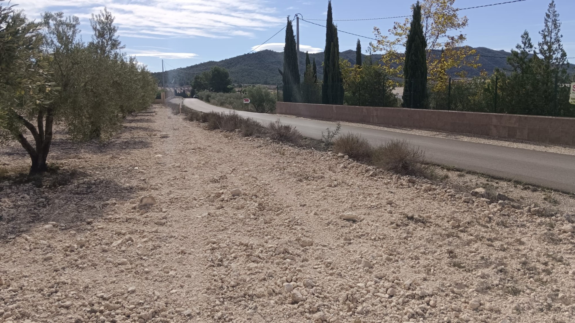 Garden in land for sale in Salinas