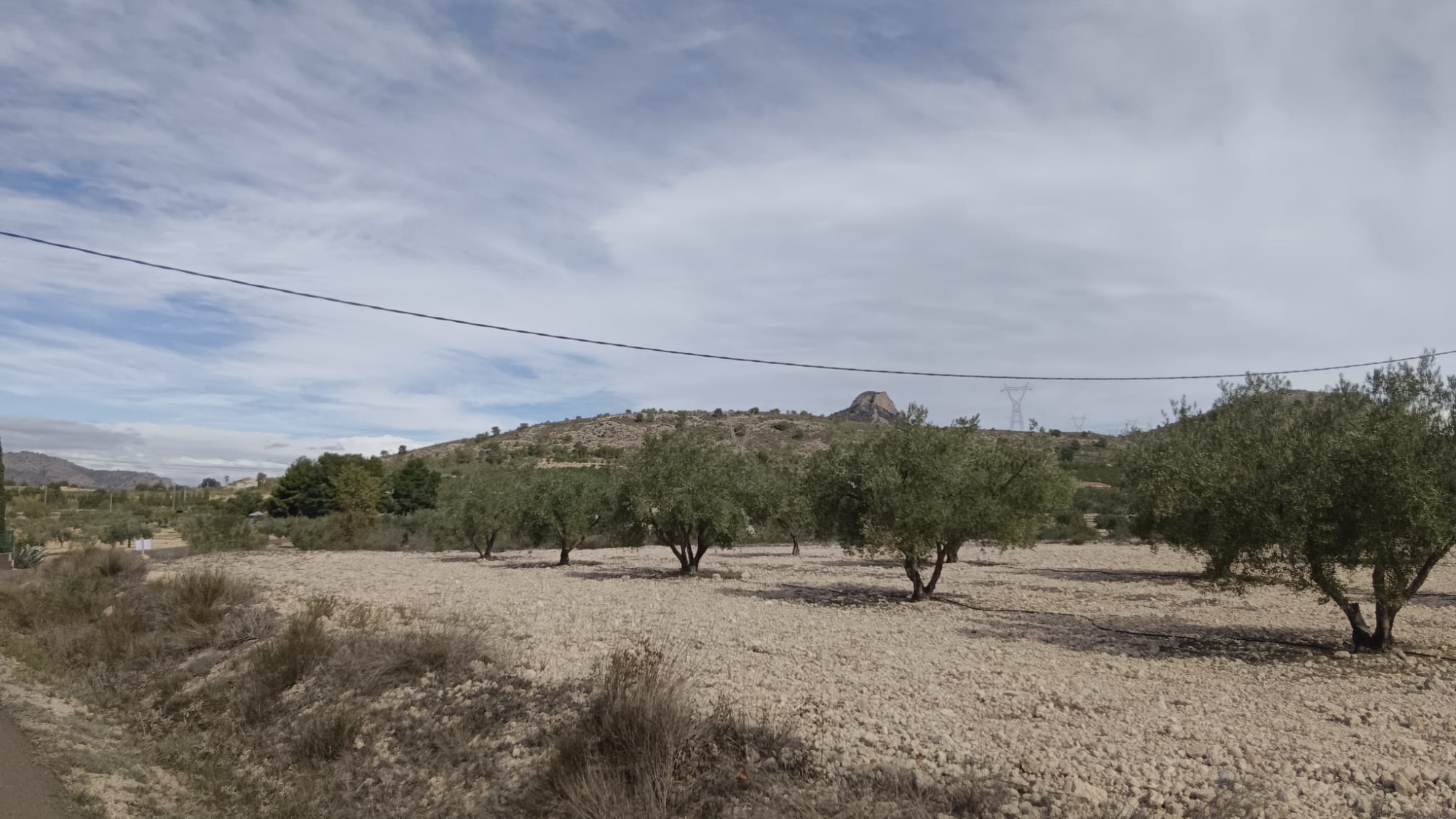 Dining area in land for sale in Salinas