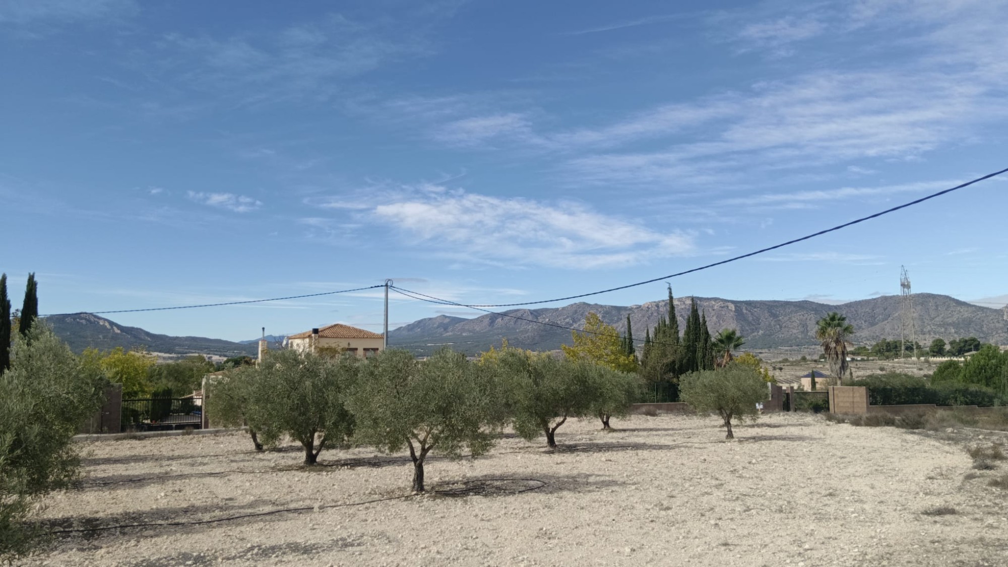 Bedroom in land for sale in Salinas