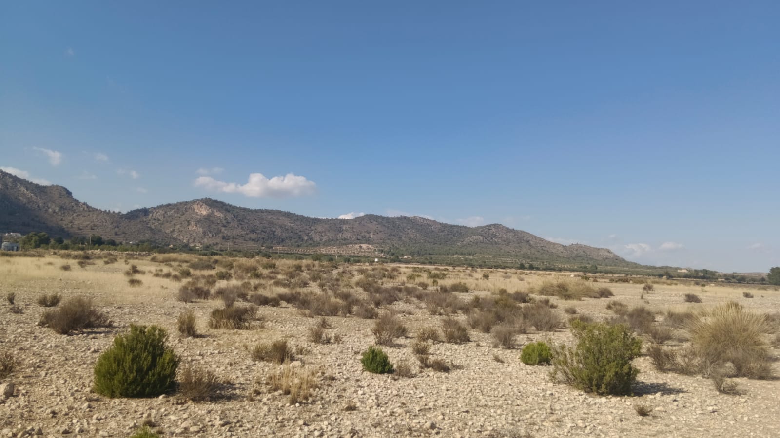 Exterior view in land for sale in Salinas