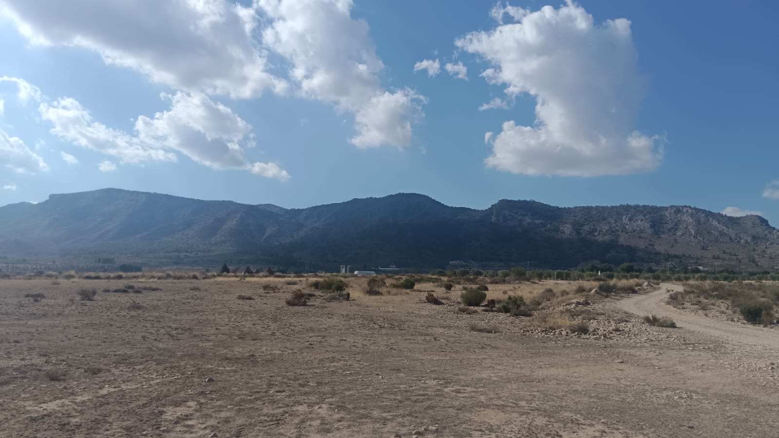 Garden in land for sale in Salinas