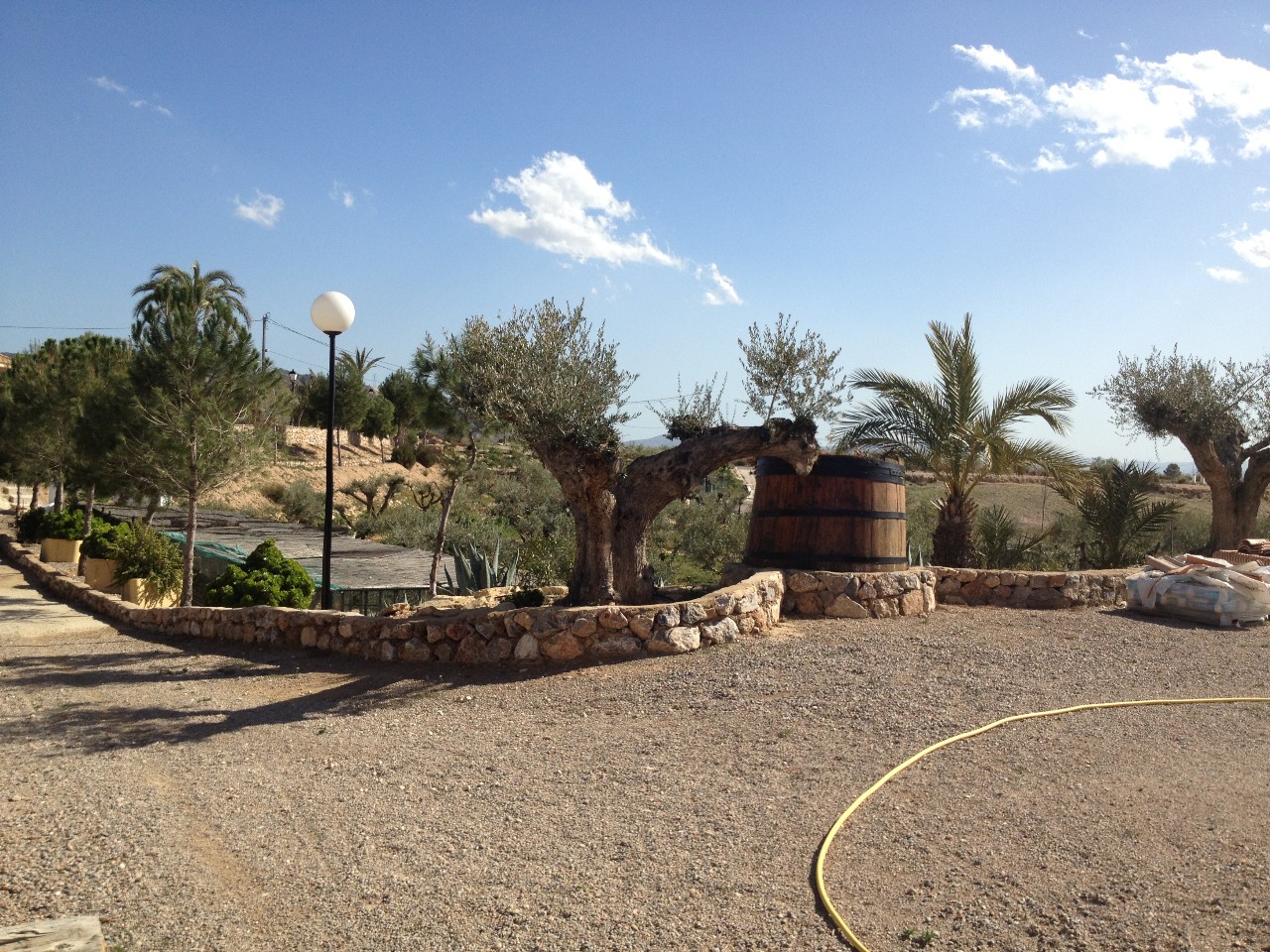 Pool area in villa for sale in Abanilla