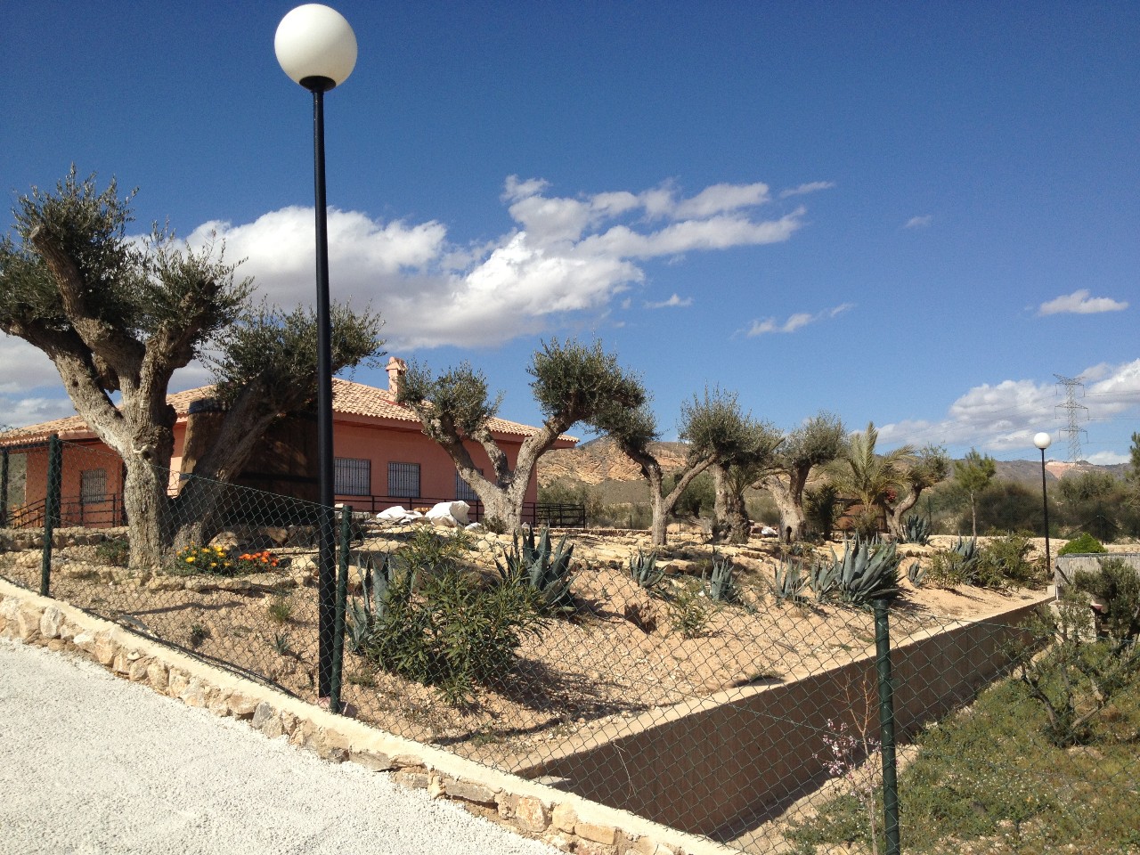 Garden in villa for sale in Abanilla