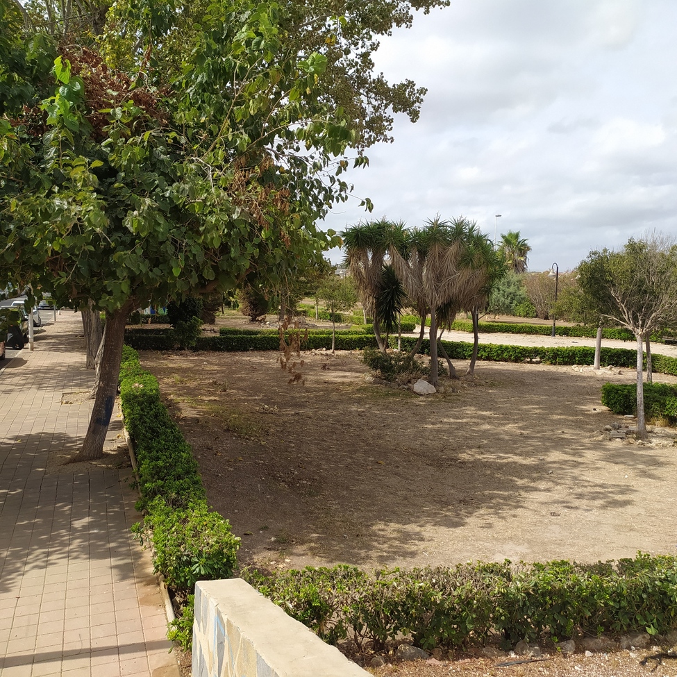 Pool area in apartment for sale in Torrevieja