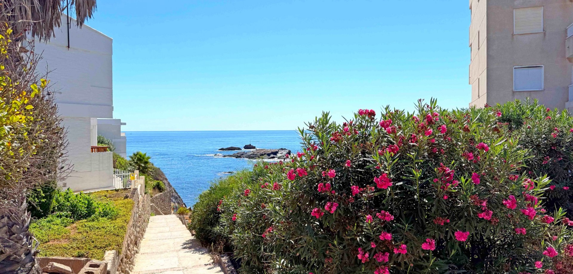 Garden in apartment for sale in Cabo de Palos