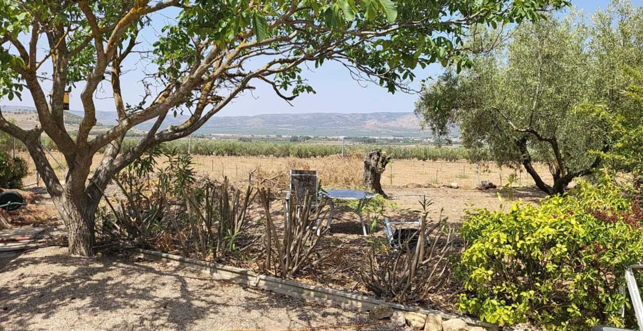 Garden in villa for sale in Biar