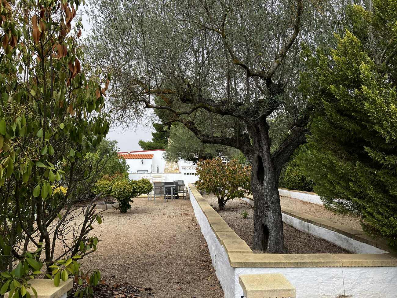 Exterior view in villa for sale in Biar