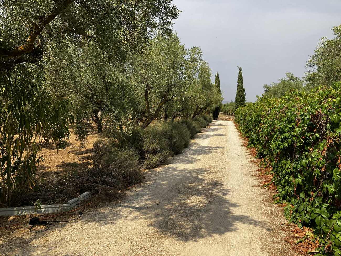 Terrace in villa for sale in Biar