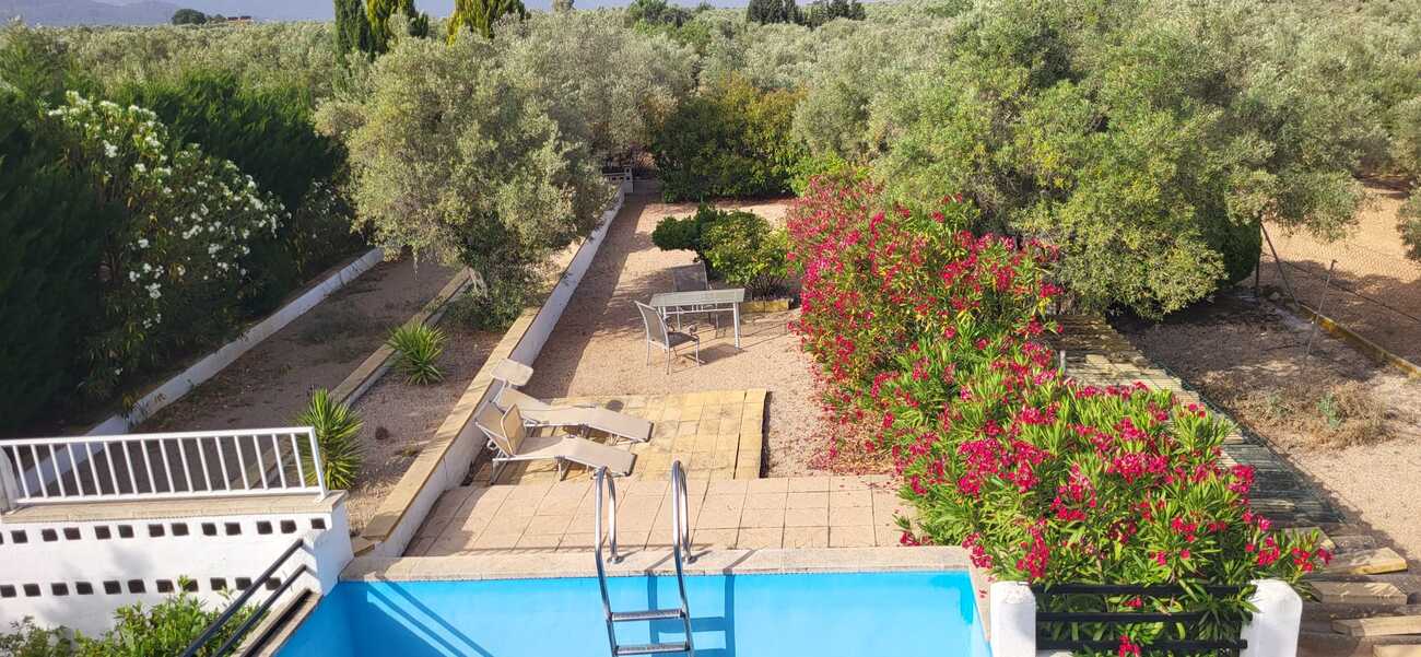 Garden in villa for sale in Biar
