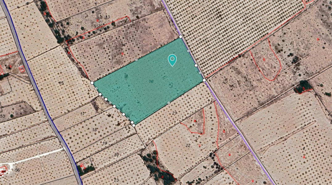 Rural building parcel of rectangular shape, in a tranquil area north of Monovar, with almost 29